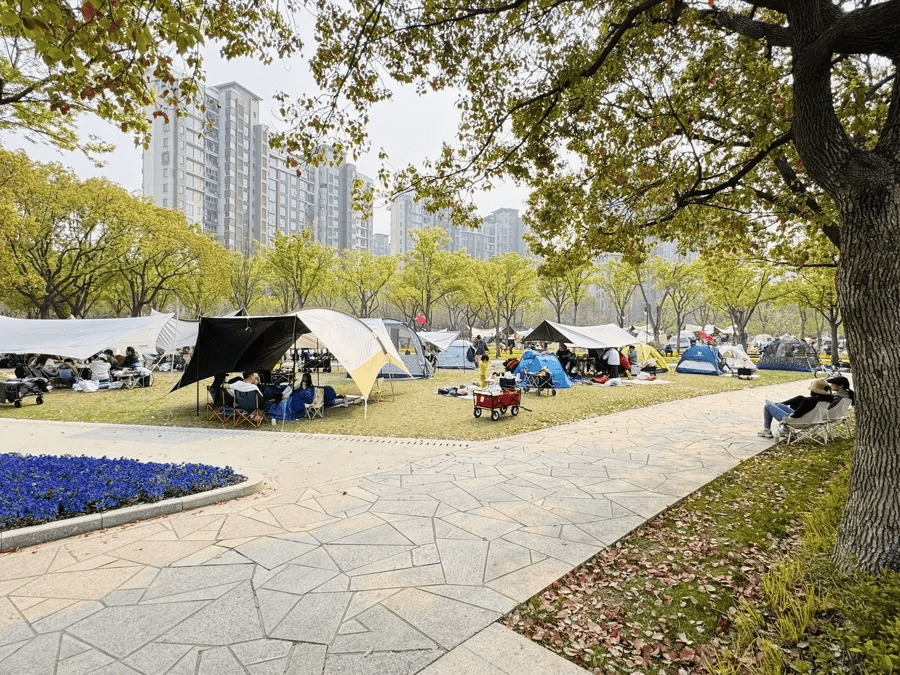 露营党上海最新明确！不朽情缘游戏手机版@