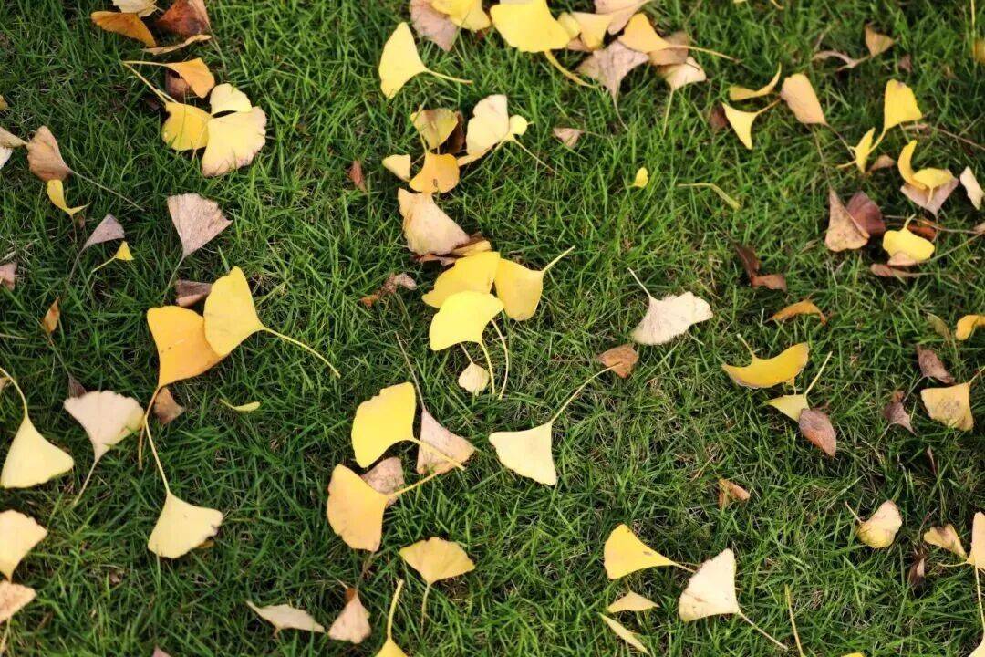 ℃“神仙天气”晒太阳地图来了→MG不朽情缘正版抓紧晒！21(图6)