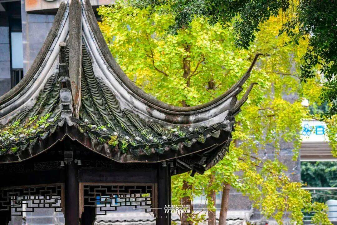 ℃“神仙天气”晒太阳地图来了→MG不朽情缘正版抓紧晒！21(图8)