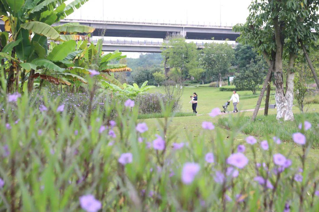 ℃“神仙天气”晒太阳地图来了→MG不朽情缘正版抓紧晒！21(图11)